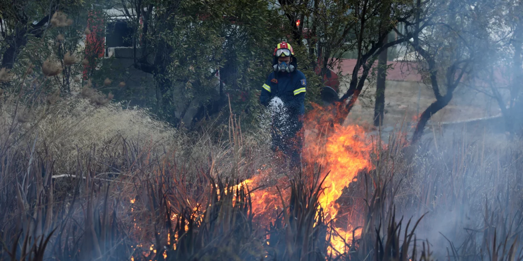Φωτιά σε δασική έκταση στην περιοχή Αμφιθέα Περάματος Ιωαννίνων