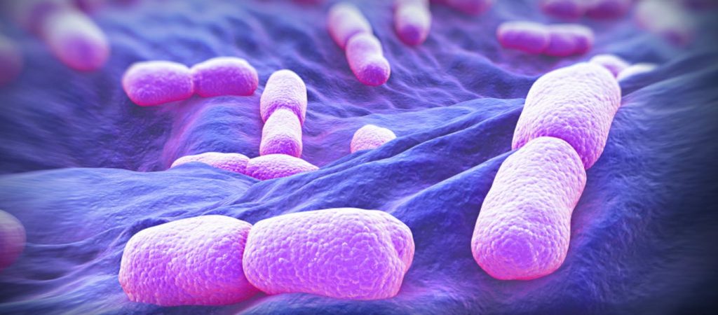 Λιστέρια: Τι είναι το άκρως επικίνδυνο βακτήριο στο πιάτο μας; – Τι μπορεί να προκαλέσει