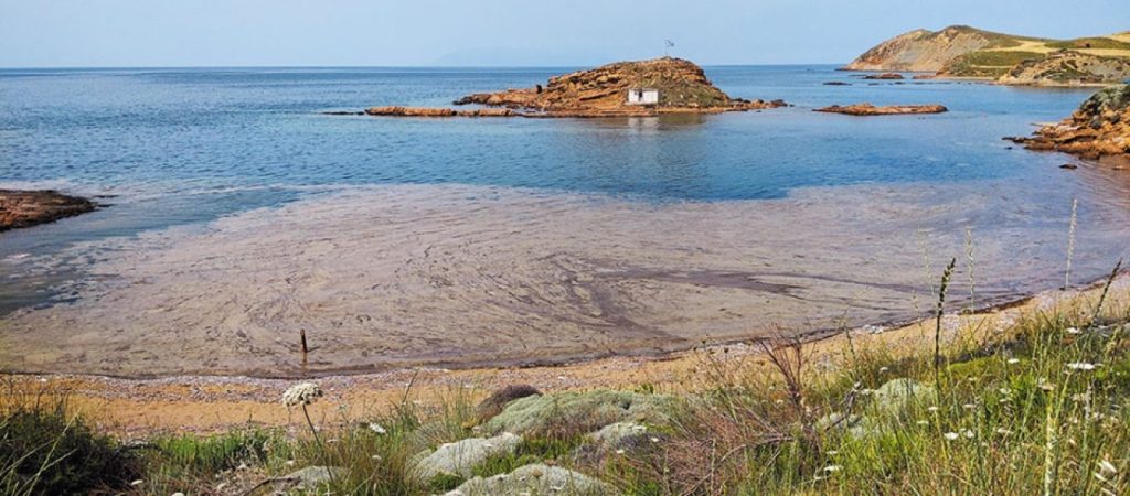 Θαλάσσια βλέννα στη Λήμνο – Δεν εμπνέει ανησυχία στους επιστήμονες