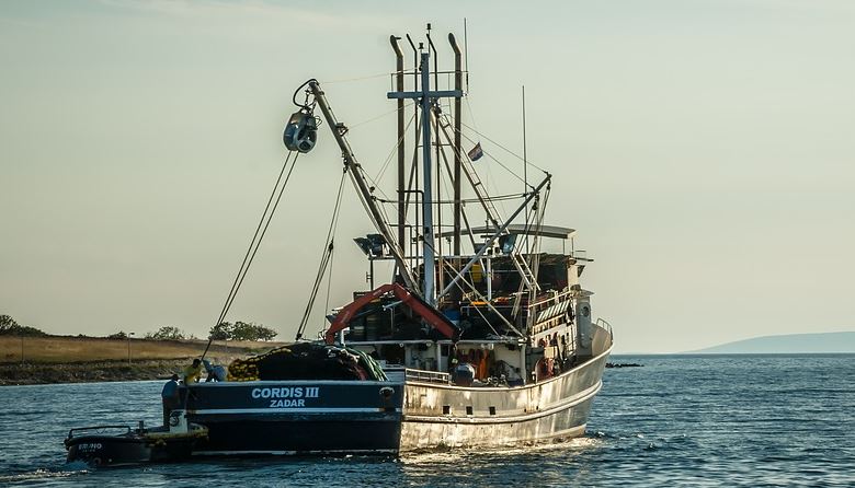 Ο λόγος που οι ψαράδες απαγορεύουν τις… μπανάνες πάνω στις βάρκες τους