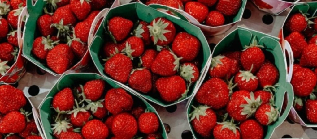 Τα πιο εύκολα φρούτα και λαχανικά που μπορείς να καλλιεργήσεις στο σπίτι