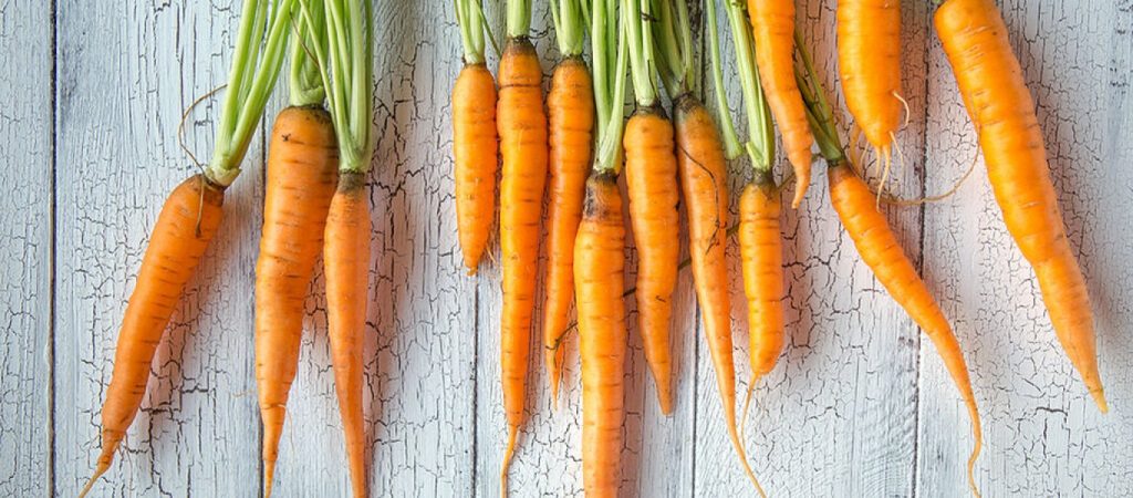 Να γιατί πρέπει να ξεκινήσετε να τρώτε καρότα – Τα οφέλη για την υγεία