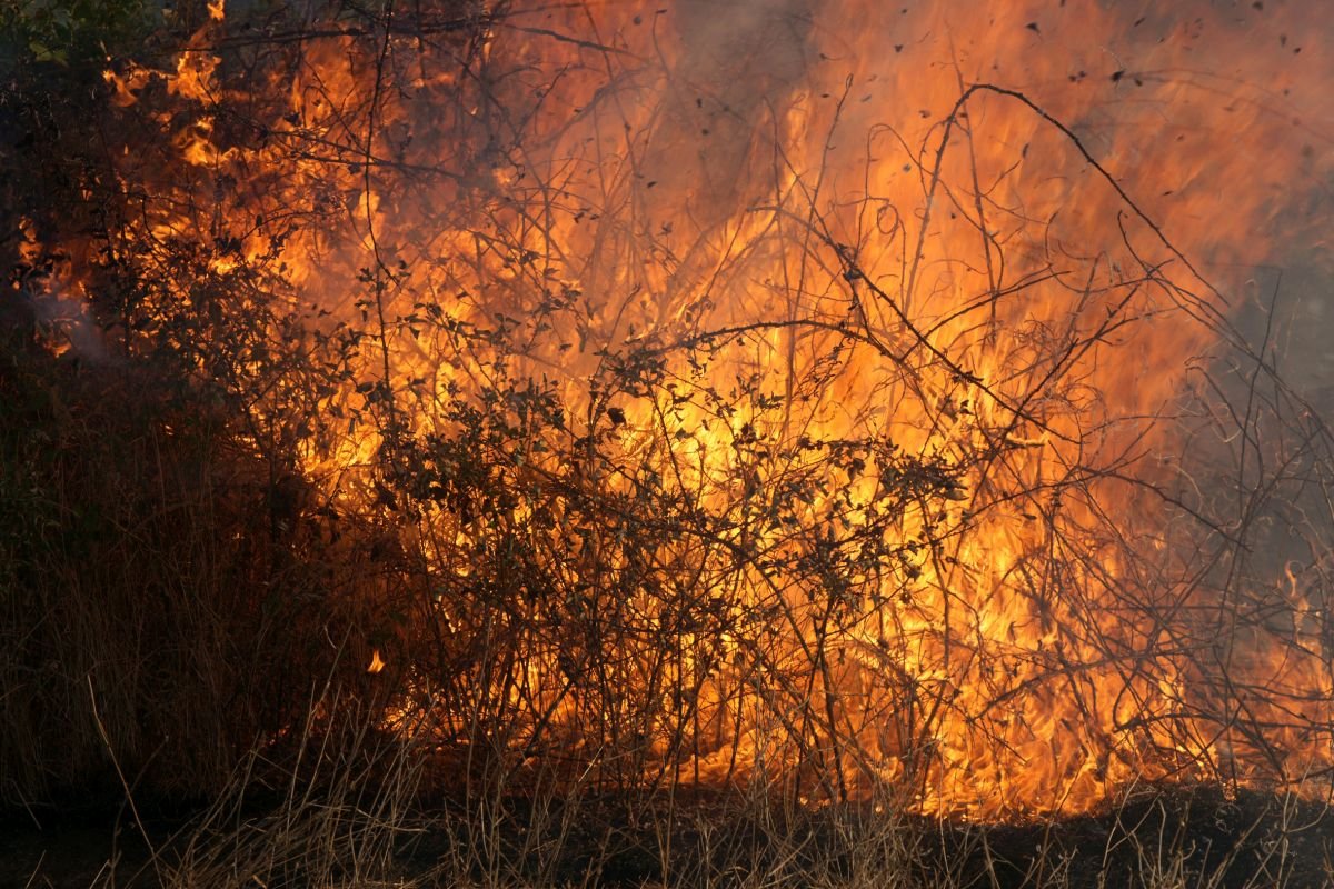 Μεγάλη πυρκαγιά σε φυσικό πάρκο στην Καταλονία – Εκκενώθηκαν κατοικίες