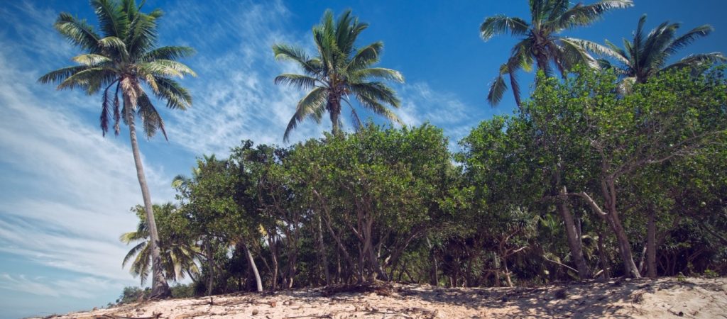 Απάνθρωποι γονείς – Άφησαν την κόρη τους σε ερημικό νησί επειδή ήταν άτακτη