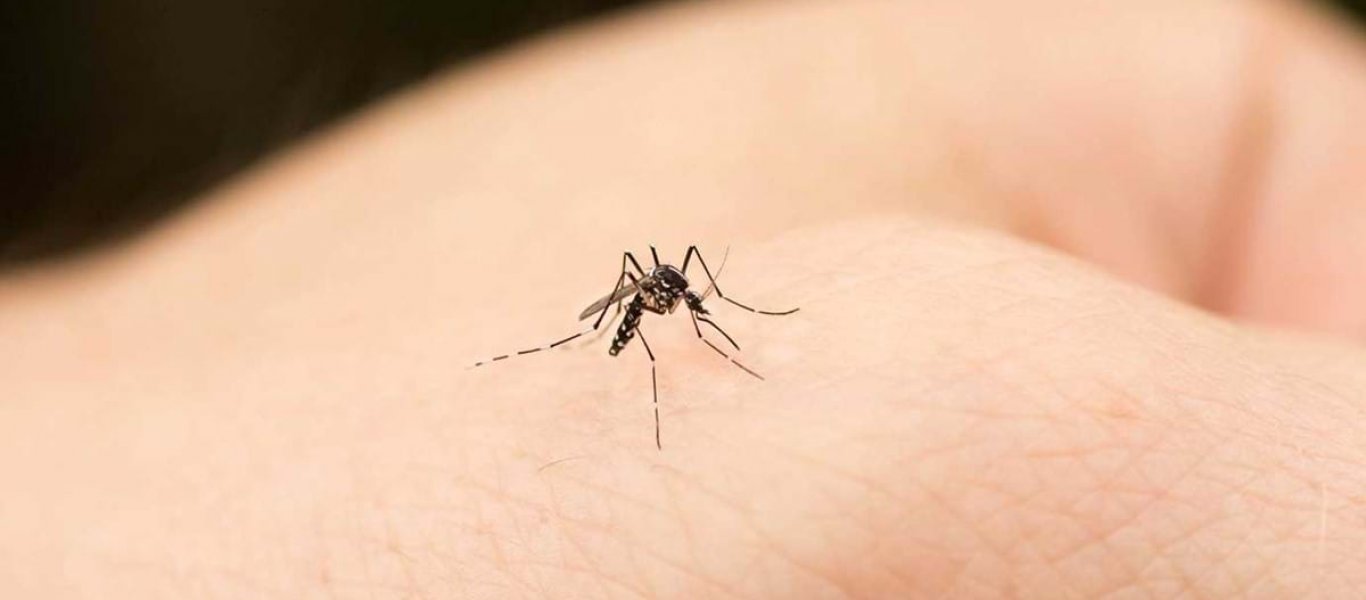 Τσίμπημα από κουνούπι: Έξι σπιτικές θεραπείες για να ανακουφιστείτε άμεσα