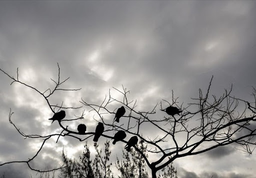 Καιρός: Φθινοπωρινό σκηνικό και πτώση θερμοκρασίας σήμερα – Που θα βρέξει