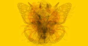 Πες μας ποιο ζώο βλέπεις πρώτο στην παρακάτω εικόνα να σου πούμε τι δείχνει για την προσωπικότητά σου