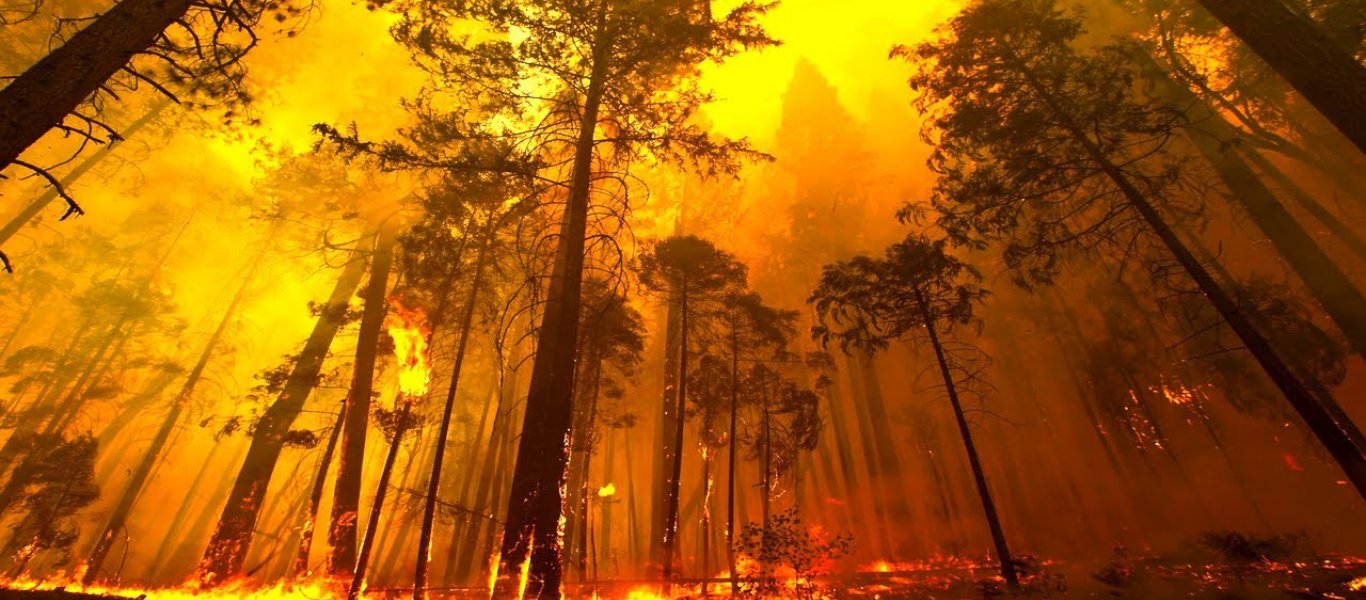 Πυροσβεστική: 42 δασικές πυρκαγιές σε όλη την Ελλάδα το τελευταίο 24ωρο