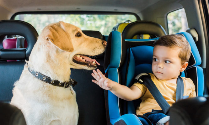 Σε πόση ώρα και από ποιες θερμοκρασίες μπορεί να γίνει επικίνδυνη η ζέστη μέσα στο αυτοκίνητο;