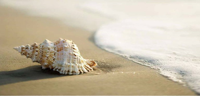 Ένα νησί φτιαγμένο μόνο από… κοχύλια! (βίντεο)