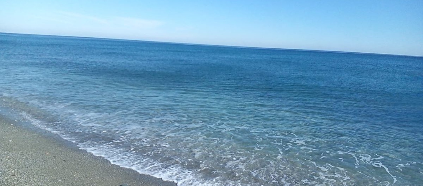 Tα 10 επικίνδυνα πλάσματα των ελληνικών θαλασσών – Μια συνάντηση μαζί τους μπορεί να αποβεί μοιραία (βίντεο)