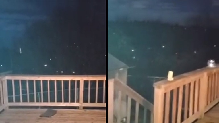 Άνδρας ηρεμεί τα κογιότ που φωνάζουν στο δάσος! (βίντεο)