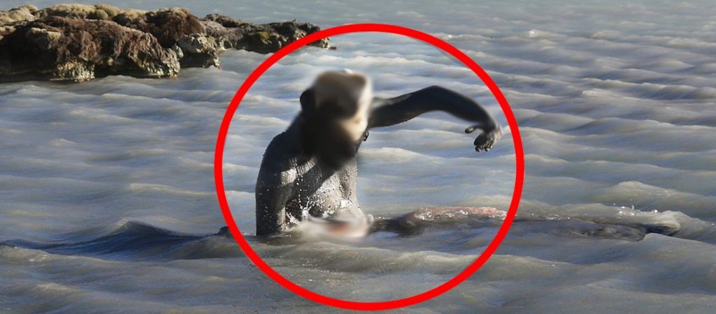 Πέντε ανεξήγητα πλάσματα που έχει «πιάσει» η κάμερα να κυκλοφορούν ανάμεσά μας (βίντεο)