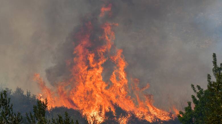 Στις φλόγες (ξανά) η Ελλάδα: Κάηκαν τουλάχιστον έξι σπίτια στην Πάτρα