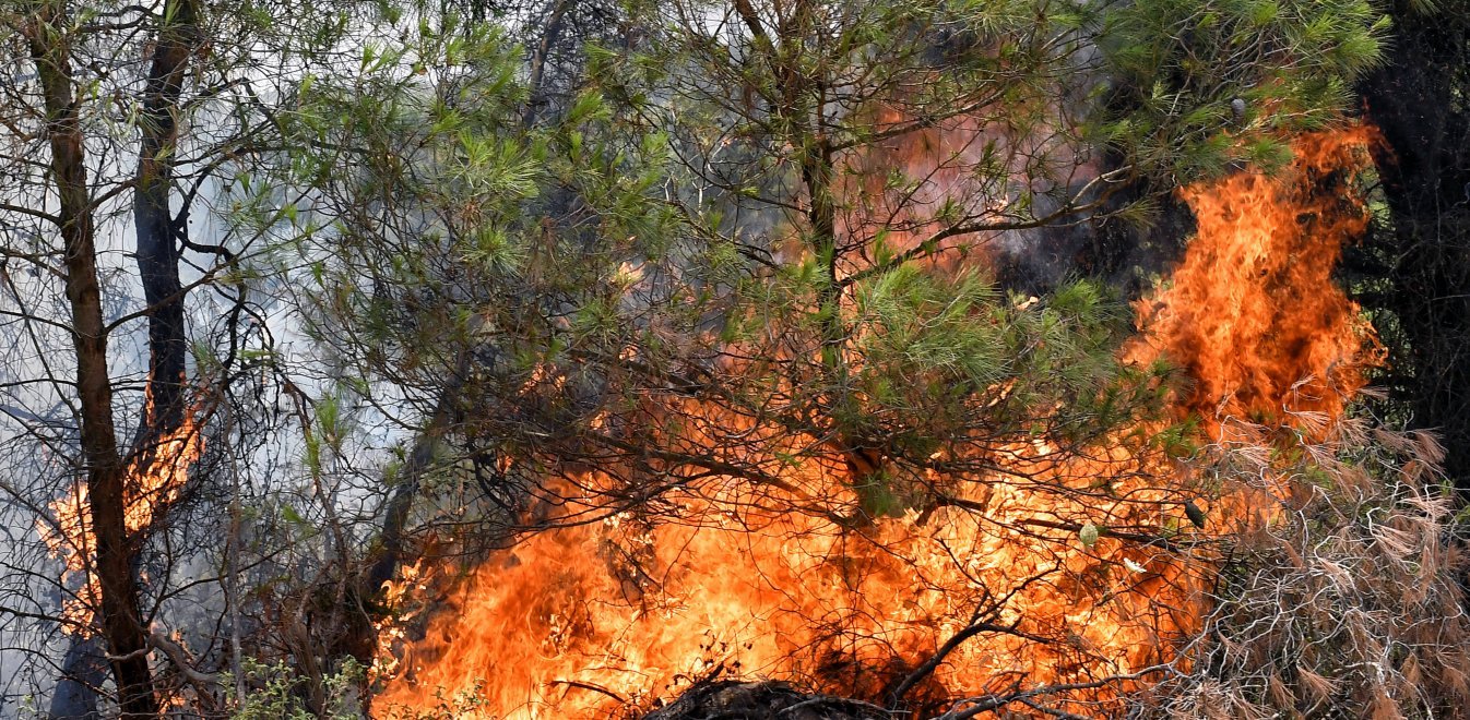 Στις φλόγες η Αχαΐα: «Τους έφυγε η φωτιά»- Κάηκαν σπίτια και εκκενώθηκαν χωριά – 5 άνθρωποι στο νοσοκομείο (upd)