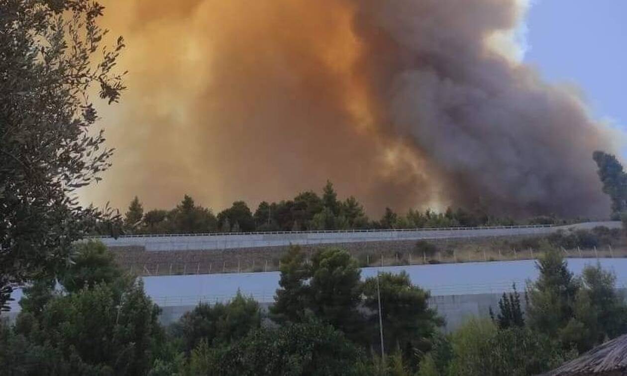 Ανεξέλεγκτη η φωτιά στην Αχαΐα: Έφτασε στη Ζήρια ο Ν.Χαρδαλιάς