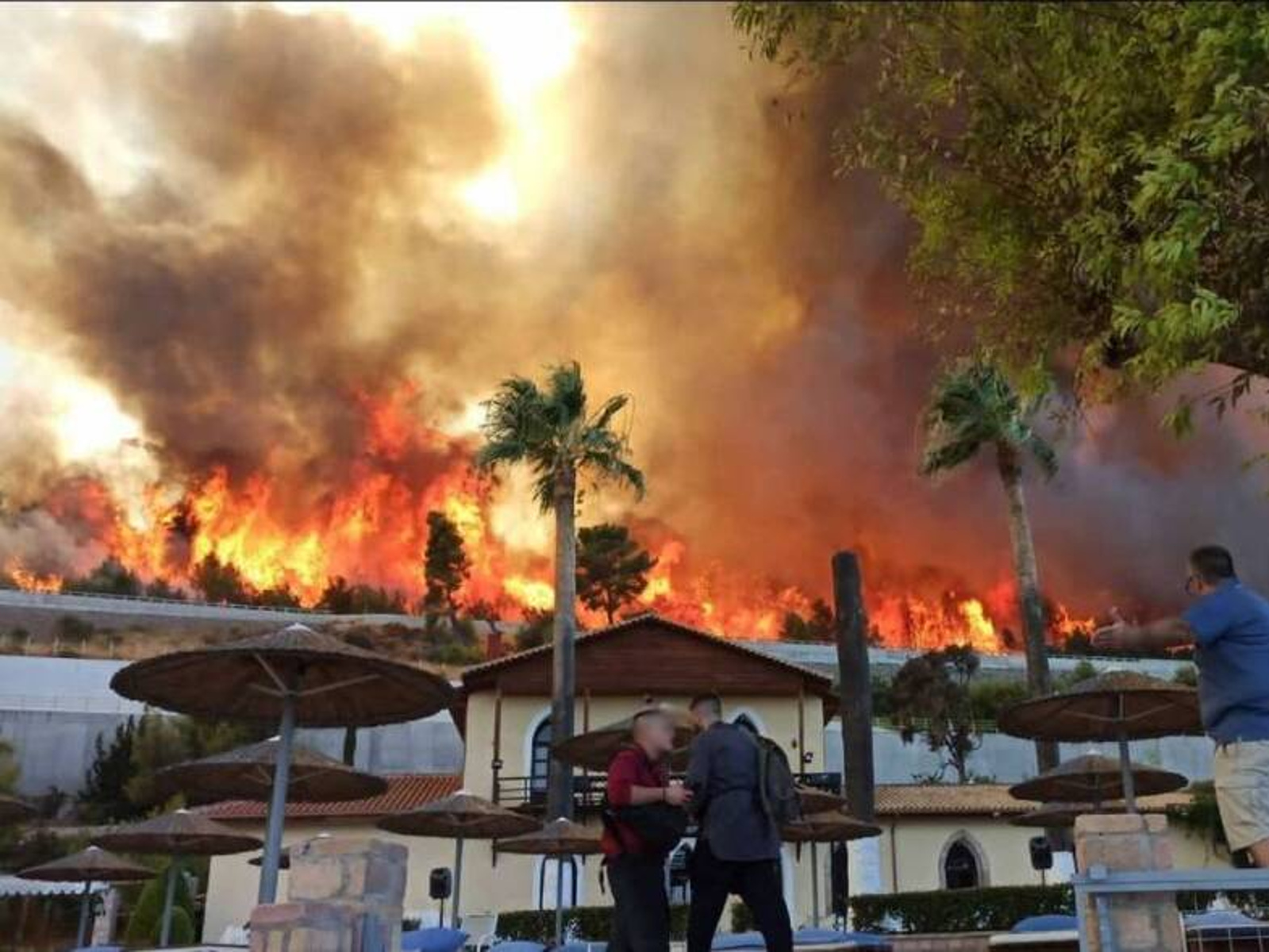 Βουλευτές ΣΥΡΙΖΑ για φωτιές στην Αχαΐα: «Κάηκαν σπίτια και περιουσίες»