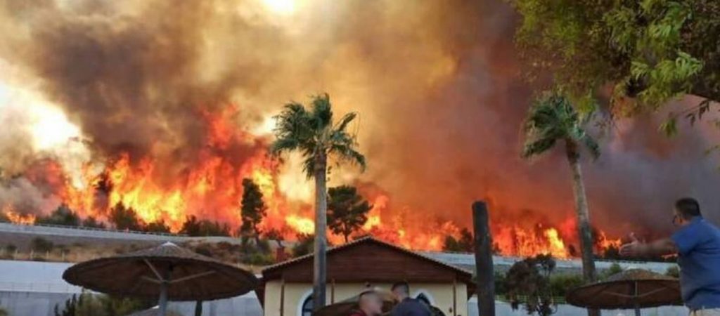 Φωτιά στην Αχαΐα: Αποκαρδιωτικές οι εικόνες καταστροφής – Τεράστιες οι ζημιές σε σπίτια και καλλιέργειες (βίντεο)