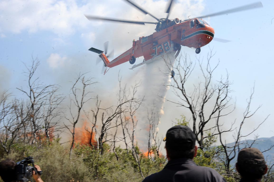 Πυρκαγιά σε αγροτική έκταση στην Ολυμπία – Σπεύδουν δυνάμεις της Πυροσβεστικής