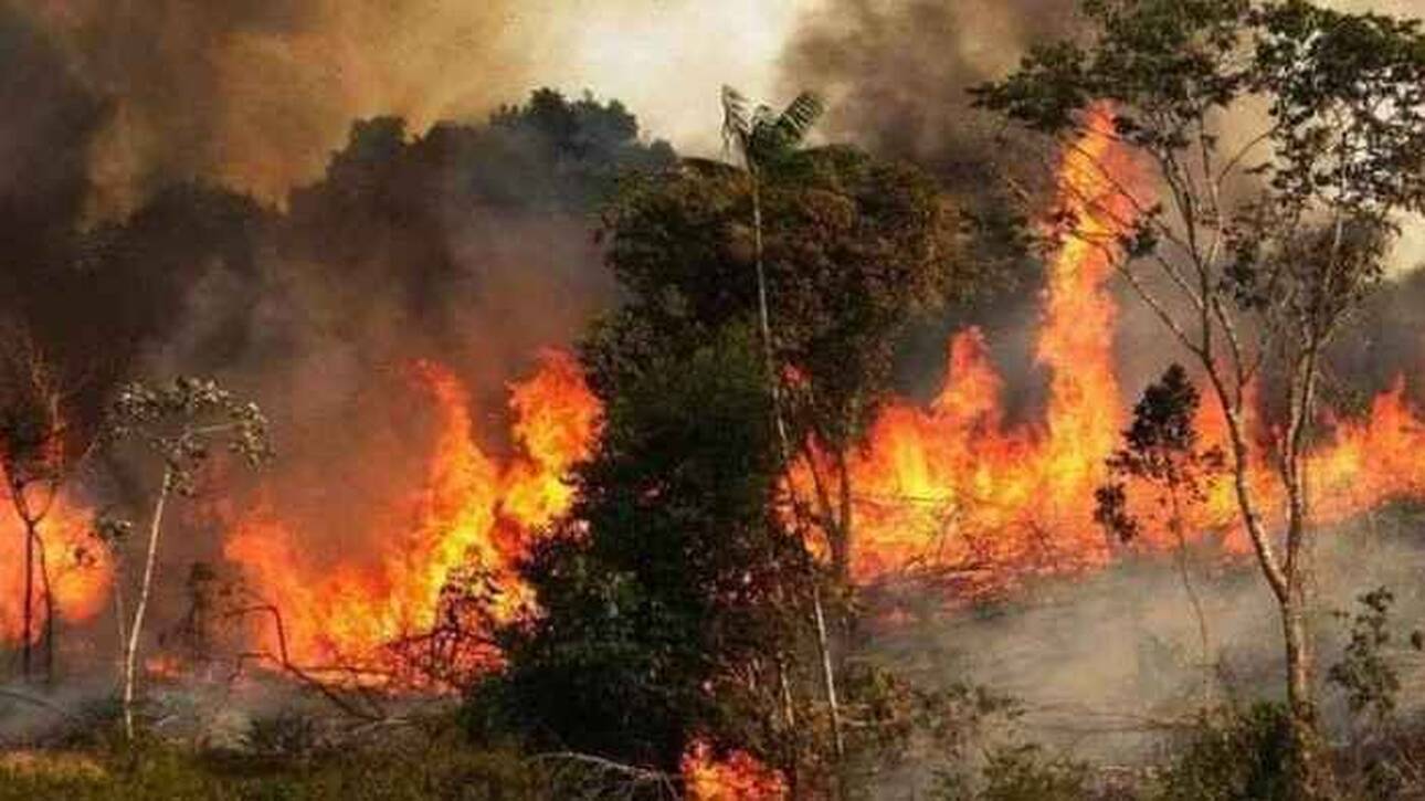 Κυβέρνηση των «αρίστων»: Αύξηση 300% καμένων εκτάσεων και 160% δασικών πυρκαγιών το 2021,μέχρι στιγμής!