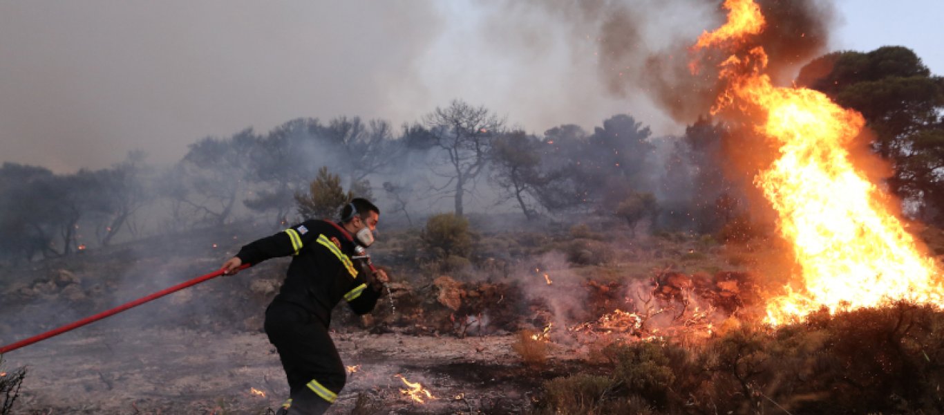 Φωτιά σε δασική έκταση στο Βασιλίτσι Μεσσηνίας – Δόθηκε εντολή προληπτικής απομάκρυνσης (upd)