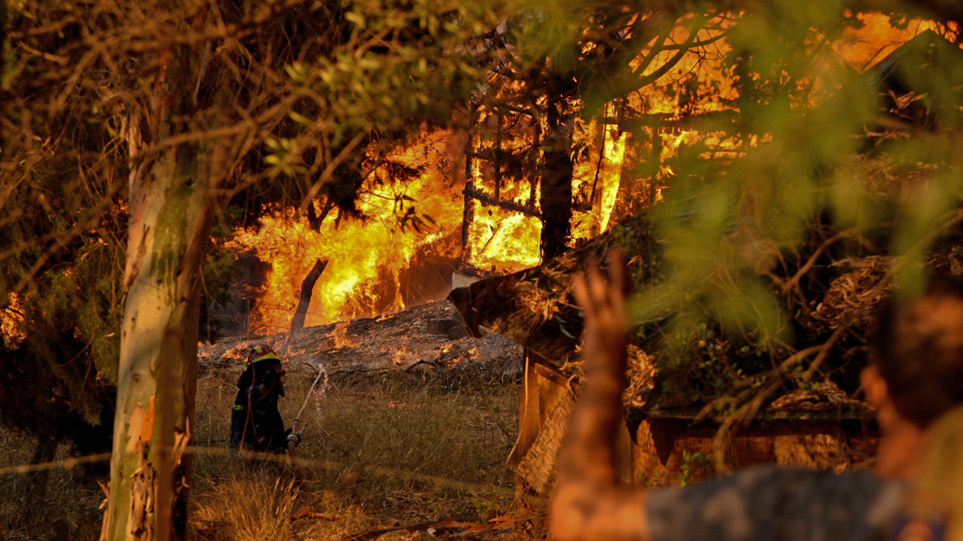 Πάνω από 3.000 στρέμματα κάηκαν από την πυρκαγιά στην Αχαΐα