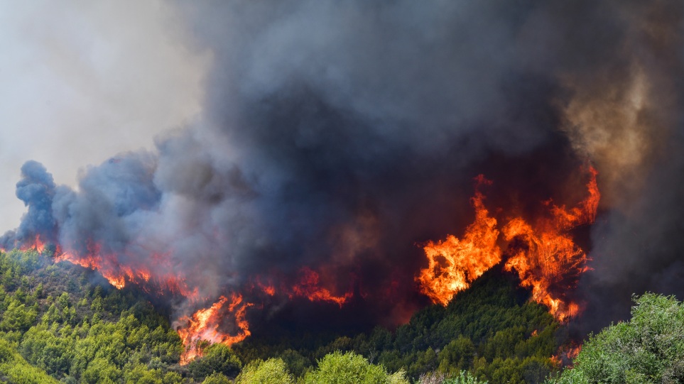 Ανεξέλεγκτο το μέτωπο της φωτιάς και στη Μεσσηνία: Κατευθύνεται προς το βουνό στη Μέλπεια