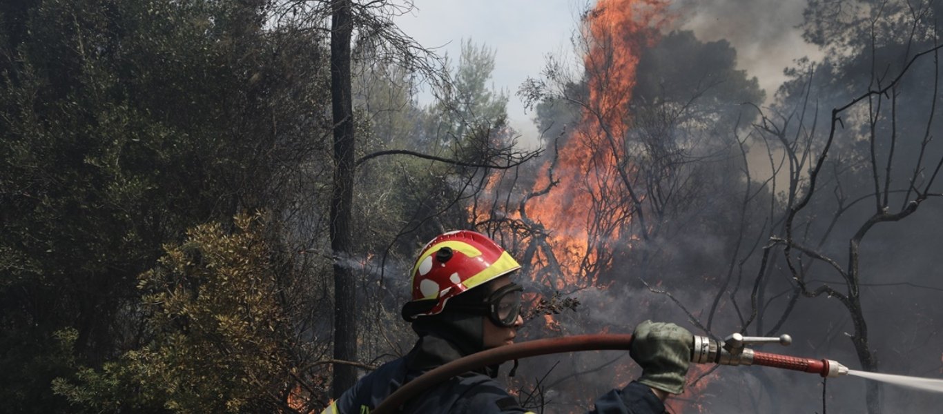 Φωτιά στη Χαλκιδική: Μεγάλη μάχη της Πυροσβεστικής στη Σιθωνία (upd)