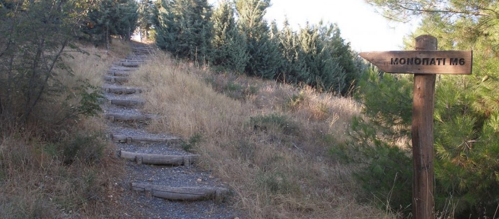 Θεσσαλονίκη: Μέχρι την Πέμπτη η απαγόρευση κυκλοφορίας στο Σέιχ Σου