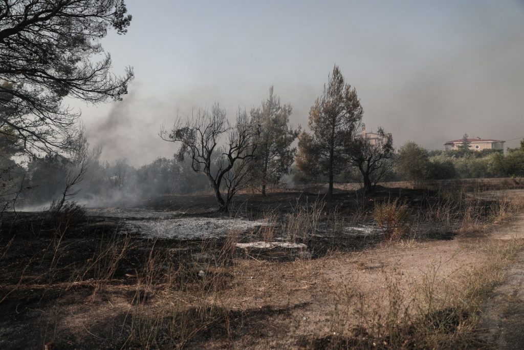 Φωτιά στη Βαρυμπόμπη: Αυτές είναι οι περιοχές που έχουν μείνει χωρίς ρεύμα