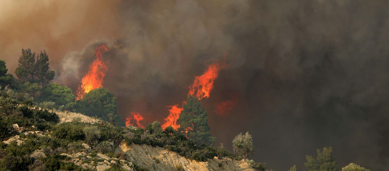 60.000 στρέμματα αποτεφρωμένα: Κάηκε σε 4 ημέρες το 50% των εκτάσεων που καίγονται συνήθως σε ένα έτος!