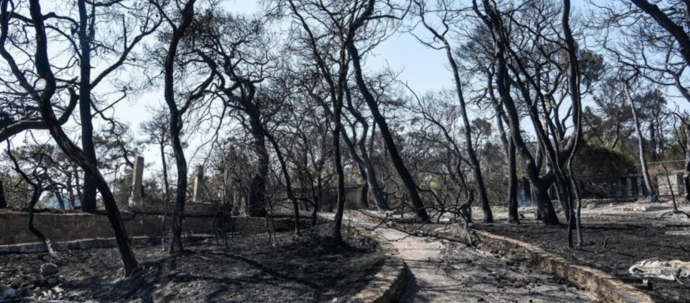 Αχαΐα: Οι πυρόπληκτες περιοχές κηρύχθηκαν σε κατάσταση έκτακτης ανάγκης