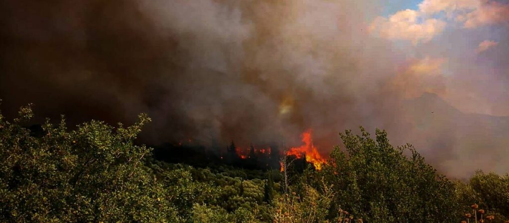 Ξέσπασε μεγάλη πυρκαγιά στη Φωκίδα – Εντολή να εκκενωθεί η Ελαία