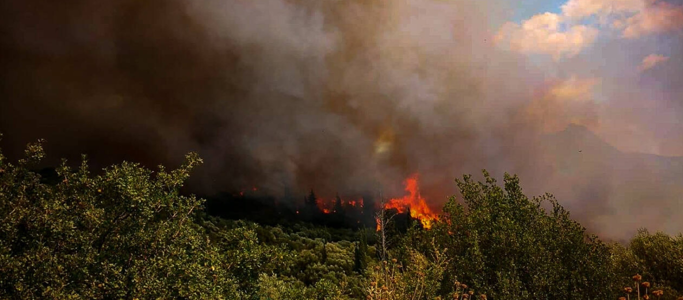 Ξέσπασε μεγάλη πυρκαγιά στη Φωκίδα – Εντολή να εκκενωθεί η Ελαία