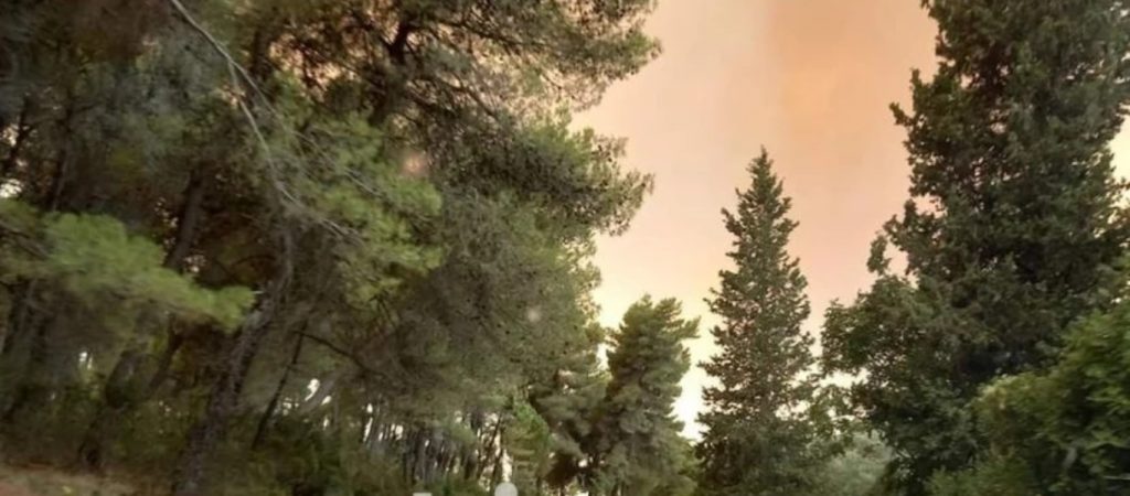 Φωτιά στην Ηλεία: Τυλίχθηκαν στις φλόγες σπίτια και επιχειρήσεις στο Λάλα