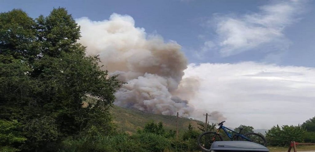 Φωτιά στους Πάδες Κόνιτσας: Μαίνεται το μέτωπο κοντά στο Εθνικό Πάρκο Πίνδου (φώτο)