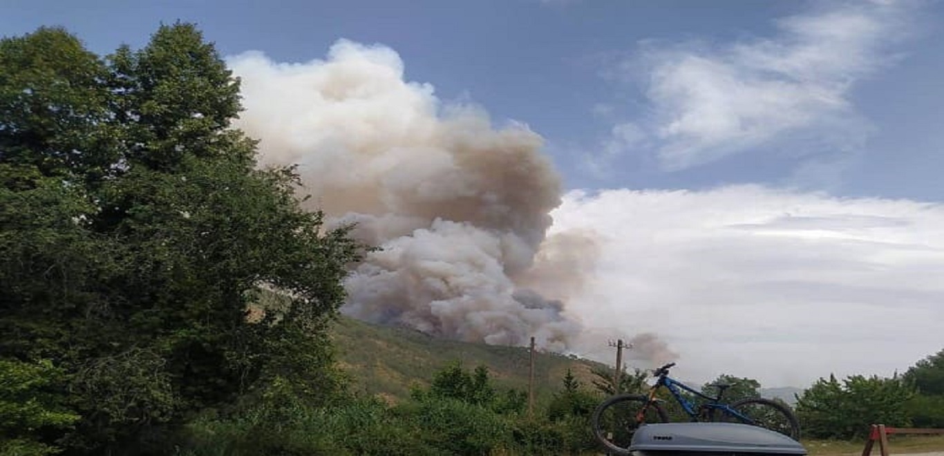 Φωτιά στους Πάδες Κόνιτσας: Μαίνεται το μέτωπο κοντά στο Εθνικό Πάρκο Πίνδου (φώτο)