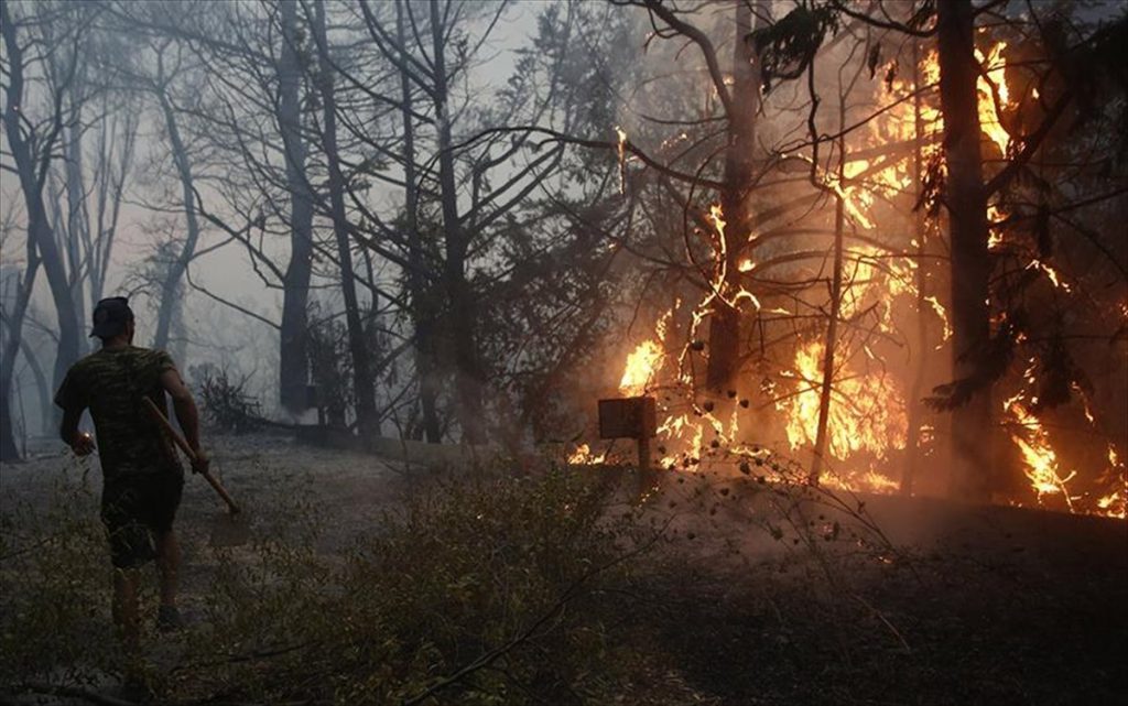 Γ.Πατούλης: «Οι φλόγες ‘γλείφουν’ κτίρια στα Βασιλικά Κτήματα»- Δήμαρχος Αχαρνών: «Ο Θεός να βάλει το χέρι του»