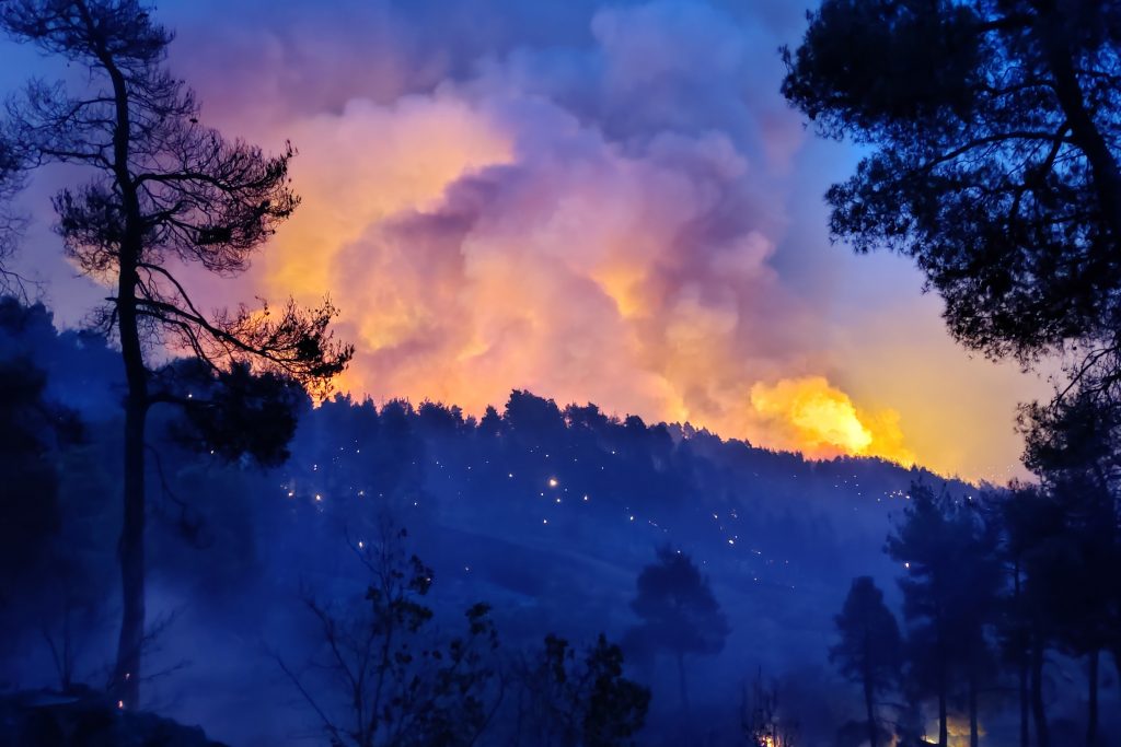 Φωτιά Εύβοια – Δήμαρχος Αιδηψού: «Στείλτε εναέρια μέσα αλλιώς η φωτιά θα καταλήξει στη θάλασσα»