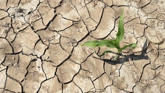 Το επικίνδυνο φαινόμενο που θα δημιουργηθεί λόγω κλιματικής αλλαγής στη Μεσόγειο