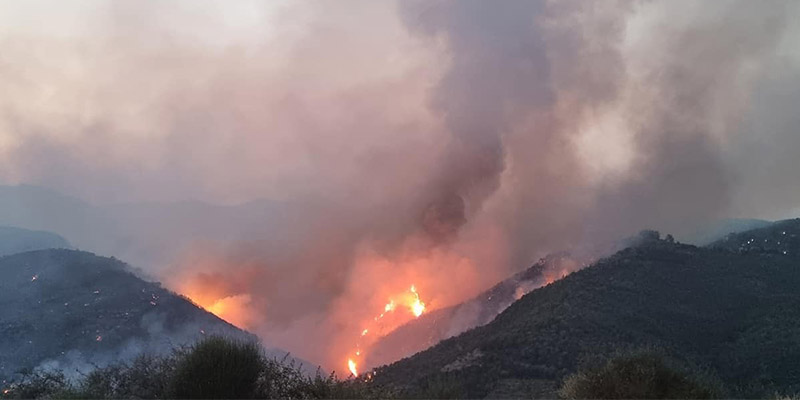 Διακοπή κυκλοφορίας στον αυτοκινητόδρομο Κορίνθου-Τρίπολης-Καλαμάτας λόγω της φωτιάς στην Αρκαδία