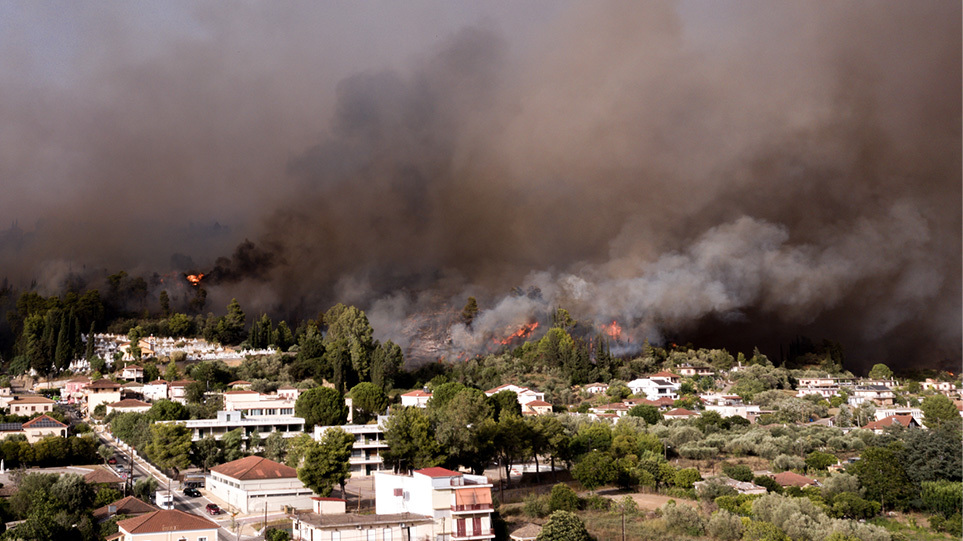 Η viral φωτογραφία με τους δύο 15χρονους στην Αρχαία Ολυμπία – Φύτεψαν το πρώτο δέντρο στα καμένα (φωτο)