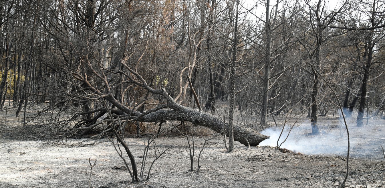 Φωτιά στην Βαρυμπόμπη: Εντοπίστηκε εκρηκτικός μηχανισμός μέσα στο δάσος