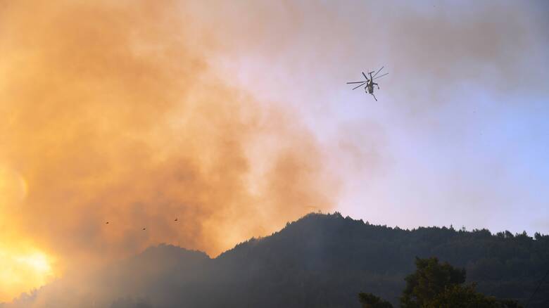 Φωτιά στην Ηλεία: Αναζωπύρωση στη Νεμούτα (βίντεο)