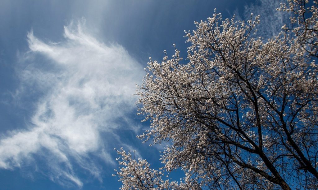 Αίθριος ο καιρός σήμερα με θερμοκρασίες που θα φτάσουν και τους 39 βαθμούς