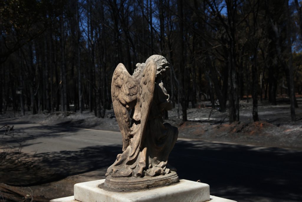 Αττική: Η φωτιά τους έκαψε και το πλιάτσικο τους αποτελειώνει – Το καρέ της καταστροφής – Ζώα και σπίτια έγιναν στάχτη