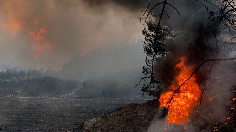Κρήτη: Σε ύφεση η φωτιά στον Άγιο Θωμά