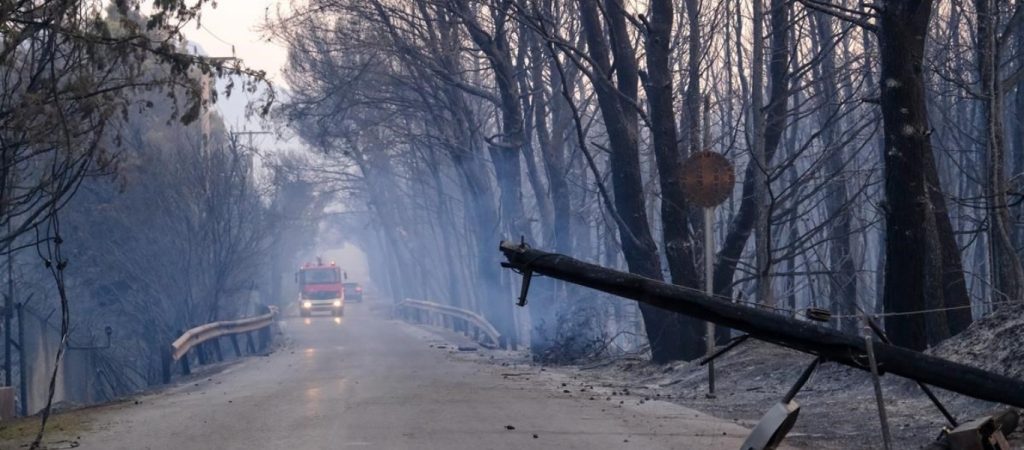 Ξεκίνησαν οι δωρεές για την αναδάσωση του Κτήματος Τατοΐου