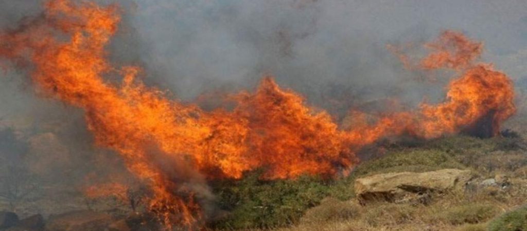 Φωτιά στην Εύβοια: Νέα αναζωπύρωση στο χωριό Γερακιού – Απειλή για το χωριό Καματριάδες