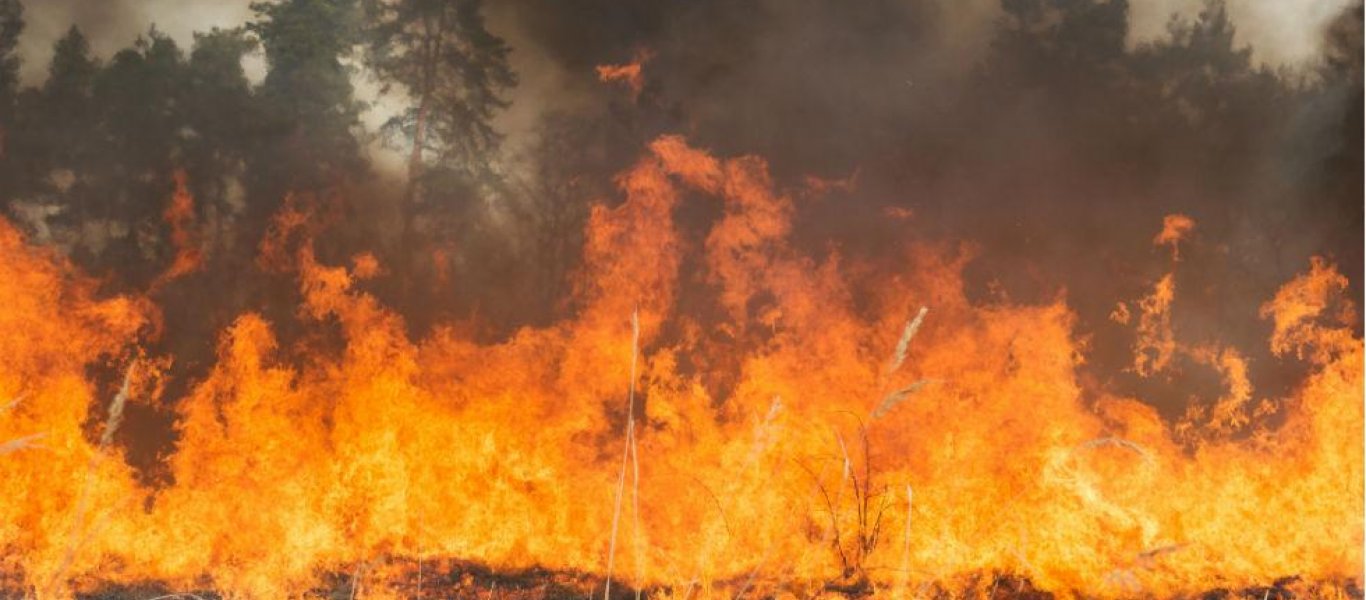 Δείτε live την εξέλιξη των πυρκαγιών στην Ελλάδα από δορυφόρο